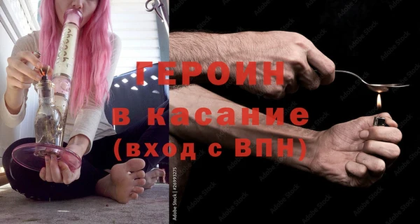 индика Бородино