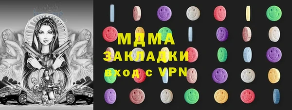 индика Бородино
