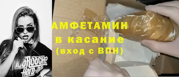 индика Бородино