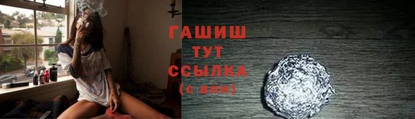 индика Бородино
