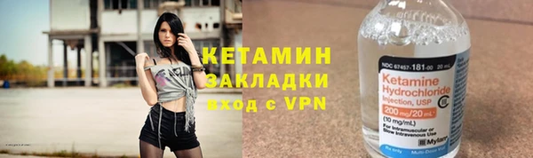 индика Бородино