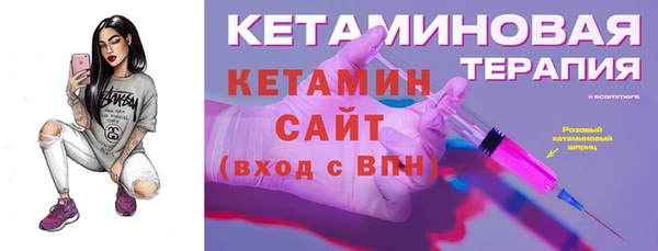 индика Бородино