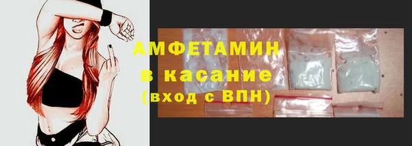 индика Бородино