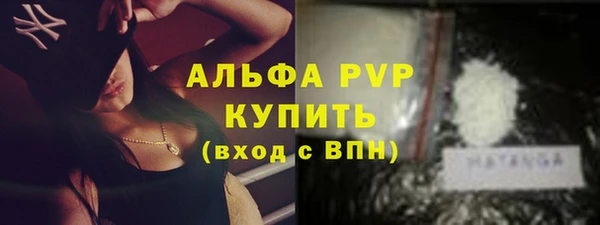 индика Бородино