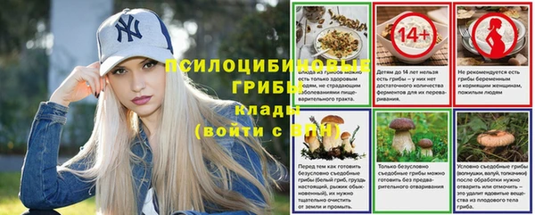 спиды Бронницы
