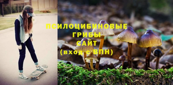 винт Бугульма