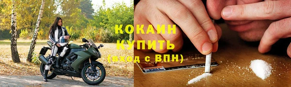 индика Бородино