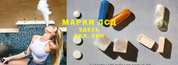 индика Бородино