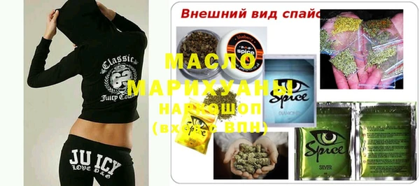 индика Бородино