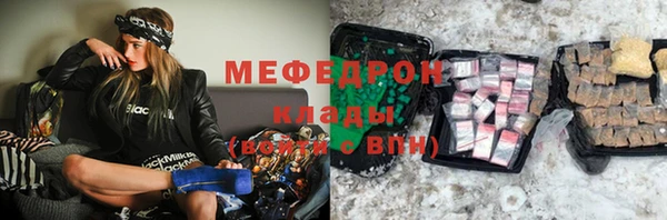 индика Бородино