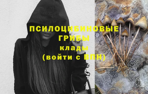 ГАЛЛЮЦИНОГЕННЫЕ ГРИБЫ Верея