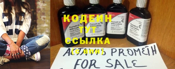 ГАЛЛЮЦИНОГЕННЫЕ ГРИБЫ Верея