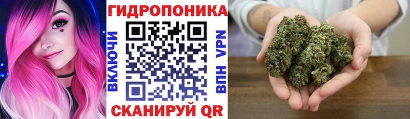 Канабис семена Грязовец